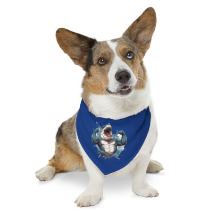 GYM Shark Pet Bandana Collar
